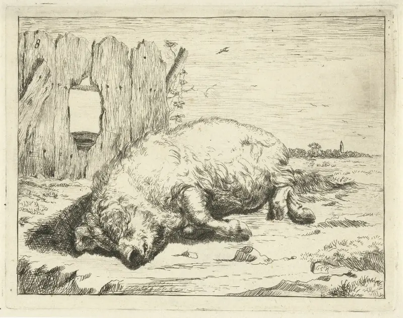 Liegendes Schwein von Marcus de Bye