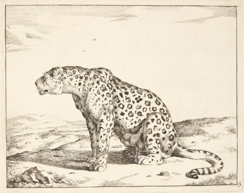 Sittande honleopard, vänd mot vänster av Marcus de Bye