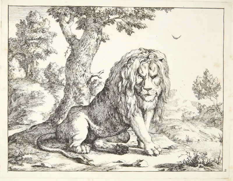 Sedící lev, Marcus de Bye