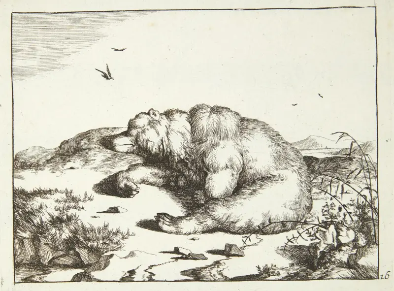 Schlafender Bär von Marcus de Bye