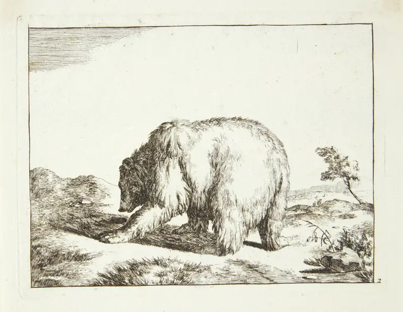 Stehender Bär, nach links gewandt von Marcus de Bye