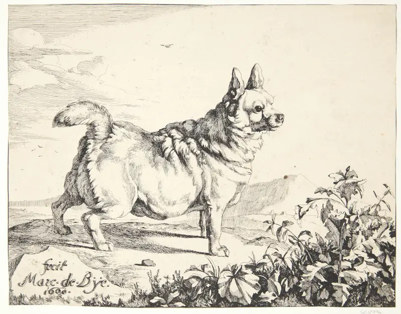 Stehender Hund, Mischling von Marcus de Bye