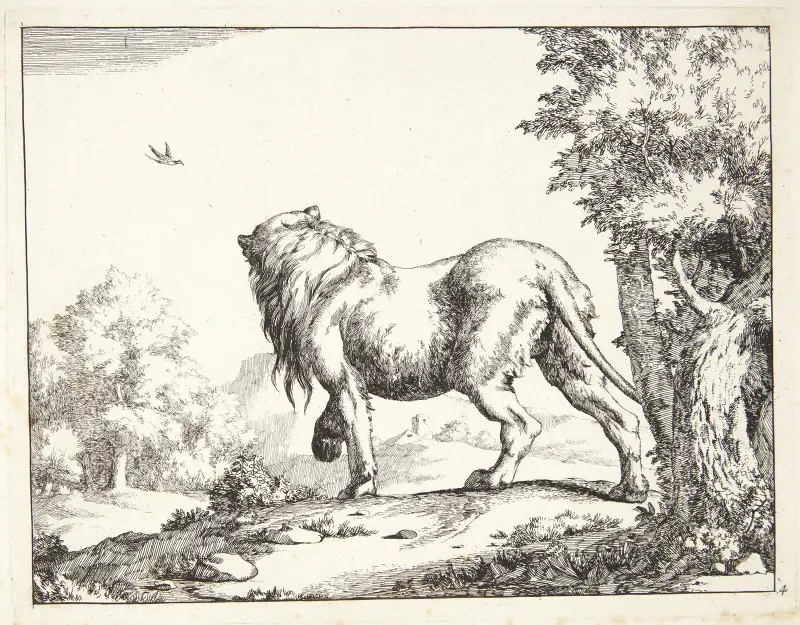 Stojący lew, widziany od tyłu, 1664 – Nr. 2, Marcus de Bye