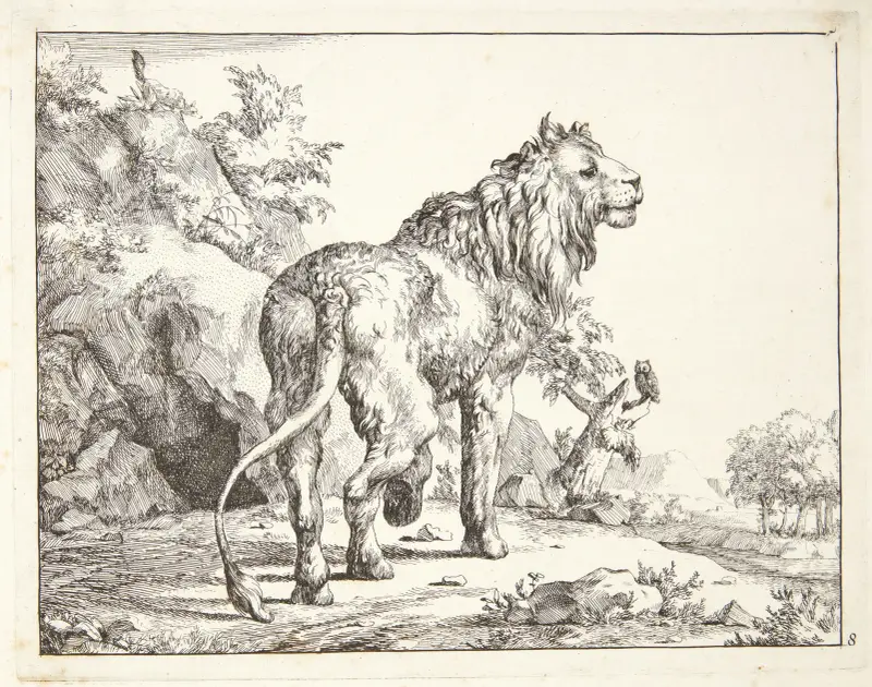 Stojící lev, pohled zezadu, 1664 – Nr. 1, Marcus de Bye