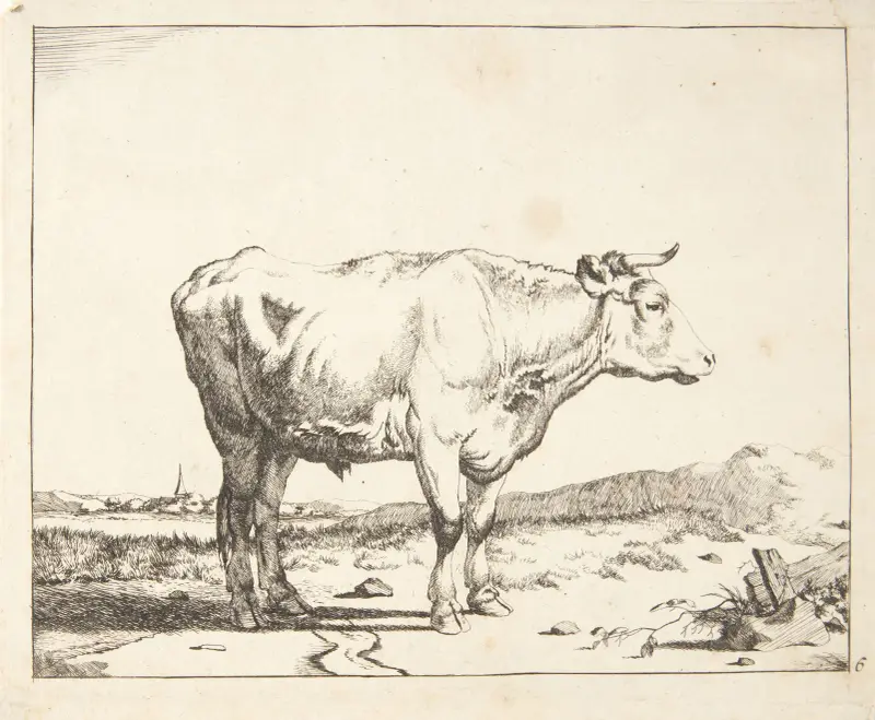 Stehende Studie nach rechts von Marcus de Bye