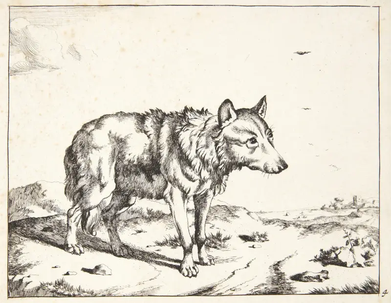 Stehender Wolf, nach rechts gewandt von Marcus de Bye