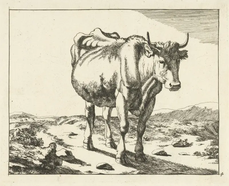 Stehende Kuh, 1657 von Marcus de Bye