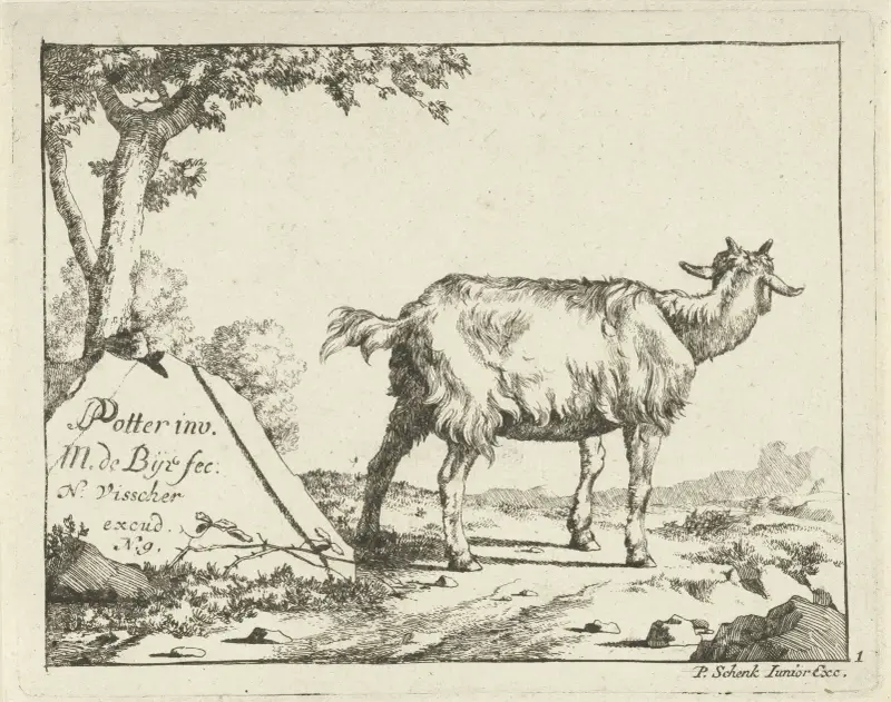 Stehende Ziege von hinten gesehen von Marcus de Bye