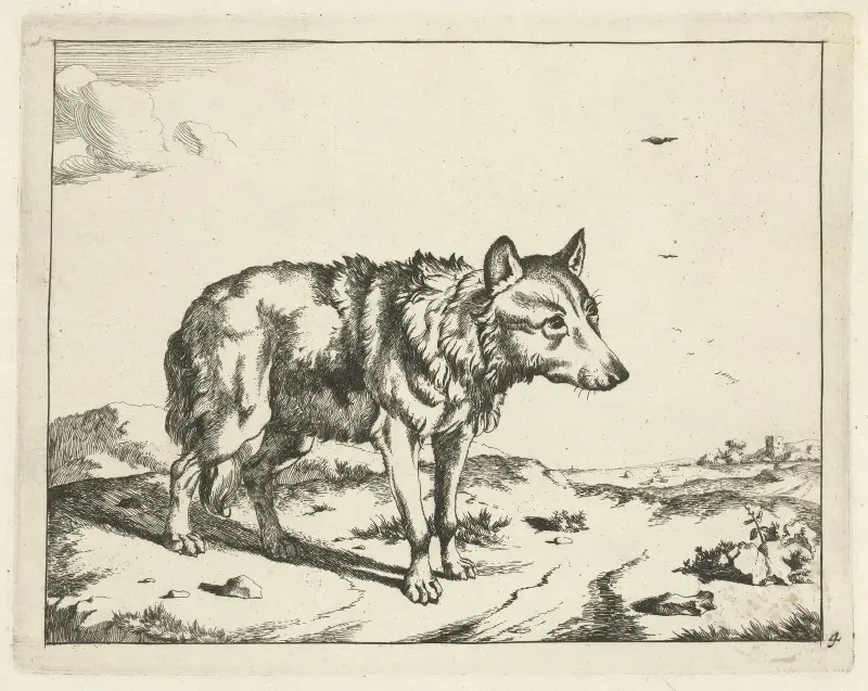 Stehender Wolf von Marcus de Bye