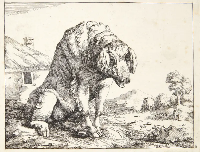 Große Sau von Marcus de Bye