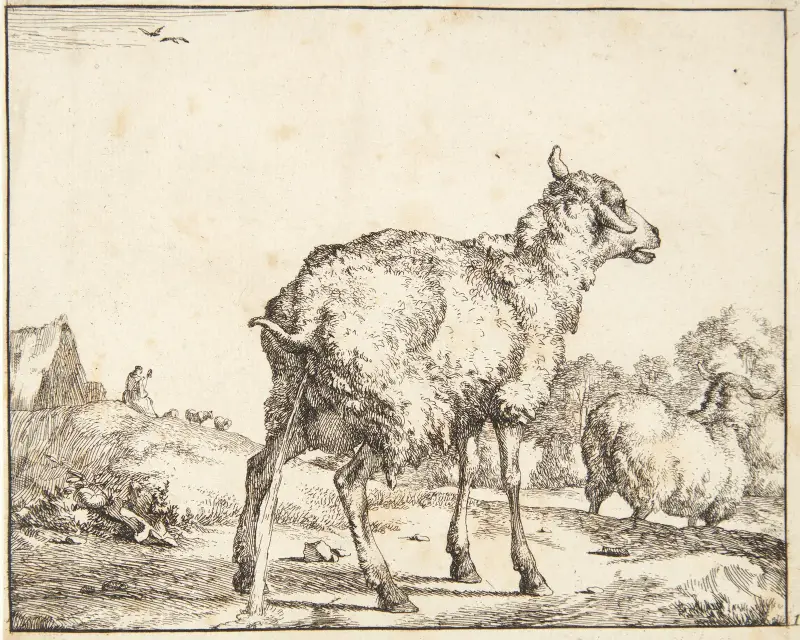 Pissende Ziege von Marcus de Bye