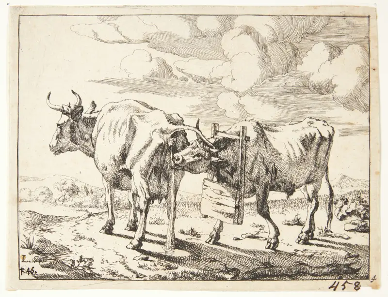 Zwei Kühe – Nr. 1 von Marcus de Bye