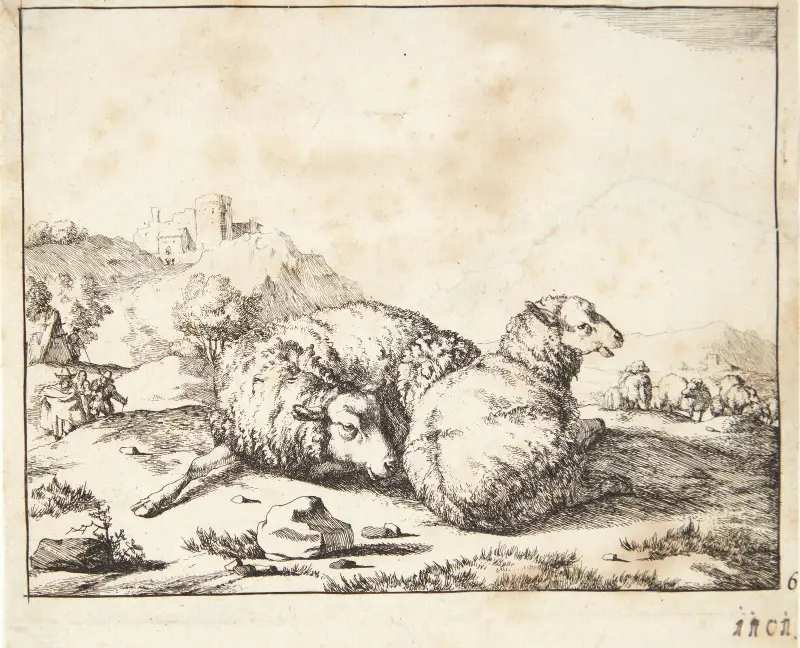 Zwei liegende Schafe, 1664 – Nr. 1 – Nr. 2 von Marcus de Bye