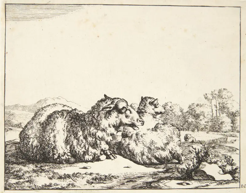 Dvě ležící ovce, 1664 – č. 2, Marcus de Bye