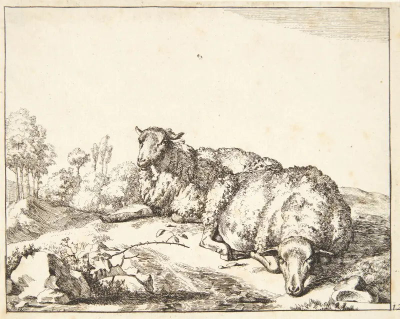 Zwei liegende Schafe, 1664 – Nr. 1 – Nr. 1 von Marcus de Bye