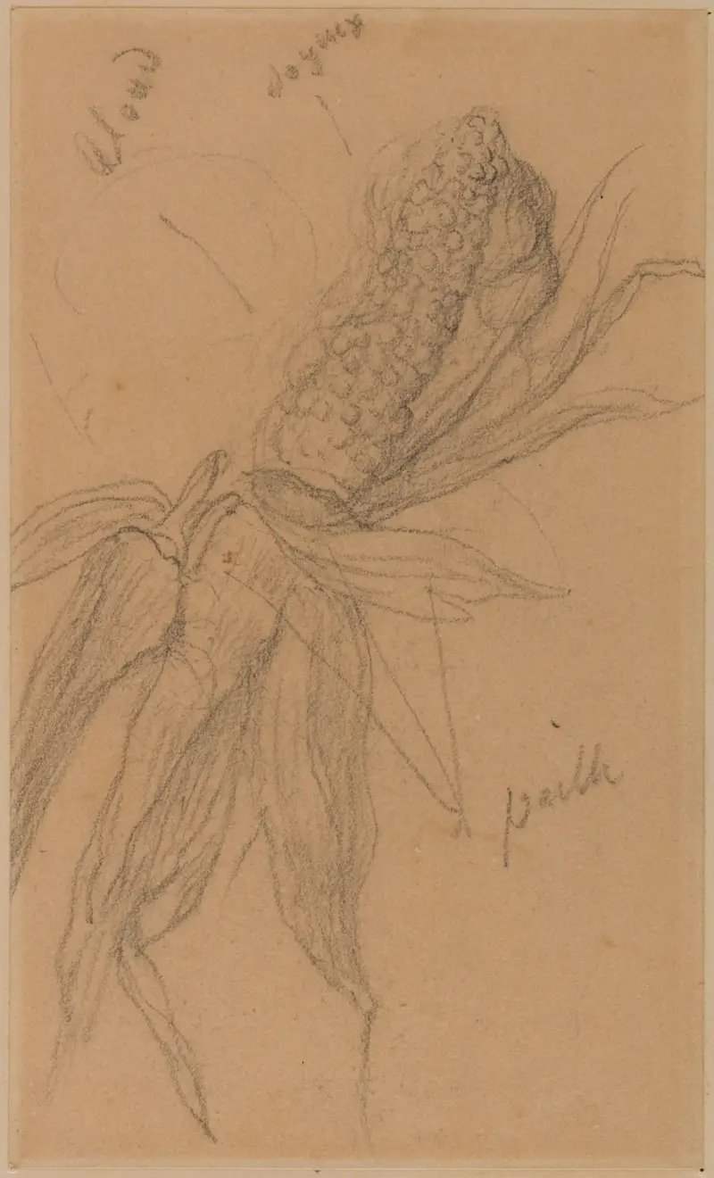 Maiskolben von Pierre Puvis de Chavannes