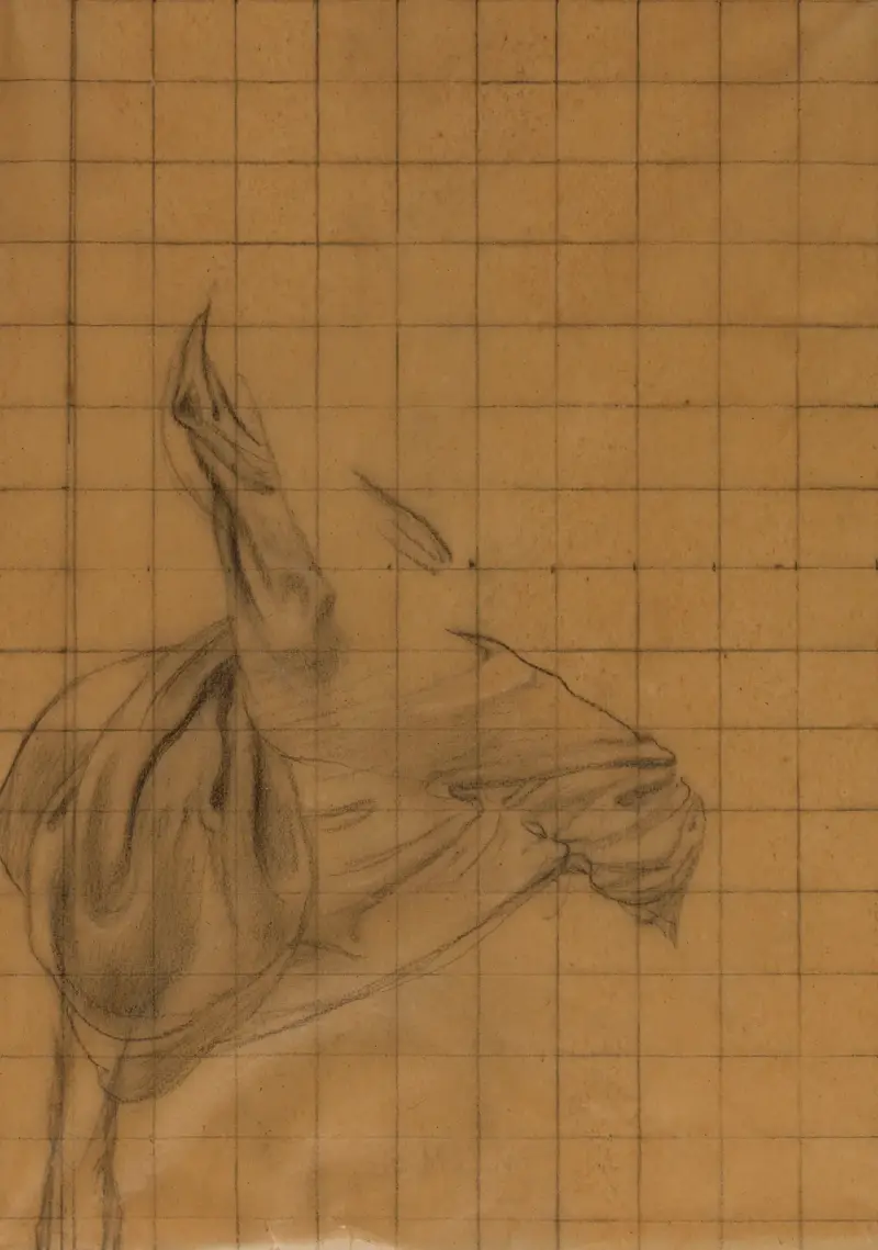 Studie av drapering av Pierre Puvis de Chavannes