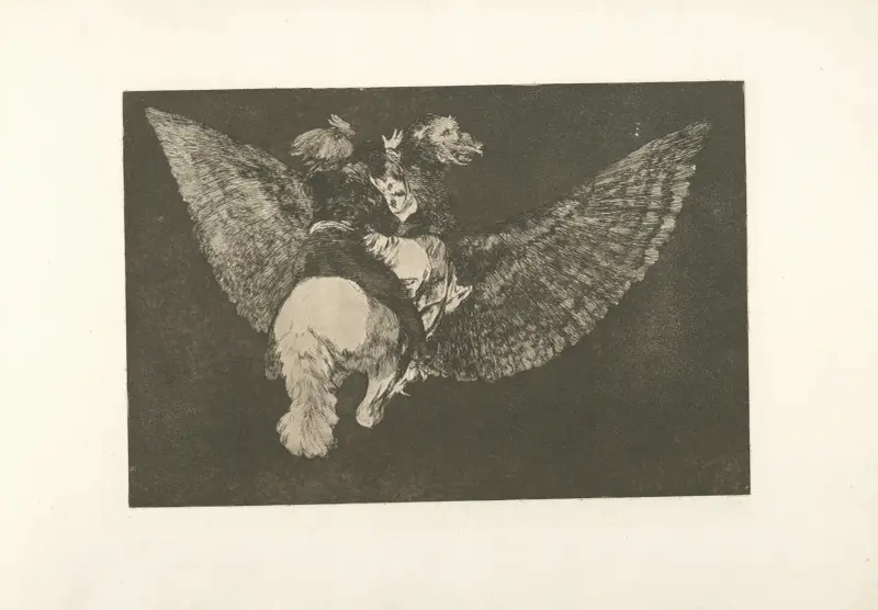 Fliegende Torheit von Francisco de Goya
