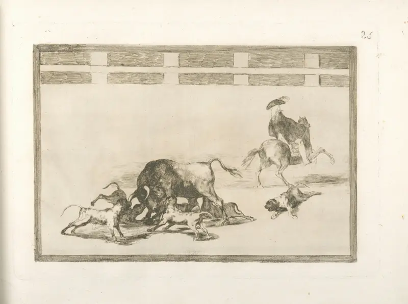 Hunde werden auf den Stier gehetzt von Francisco de Goya