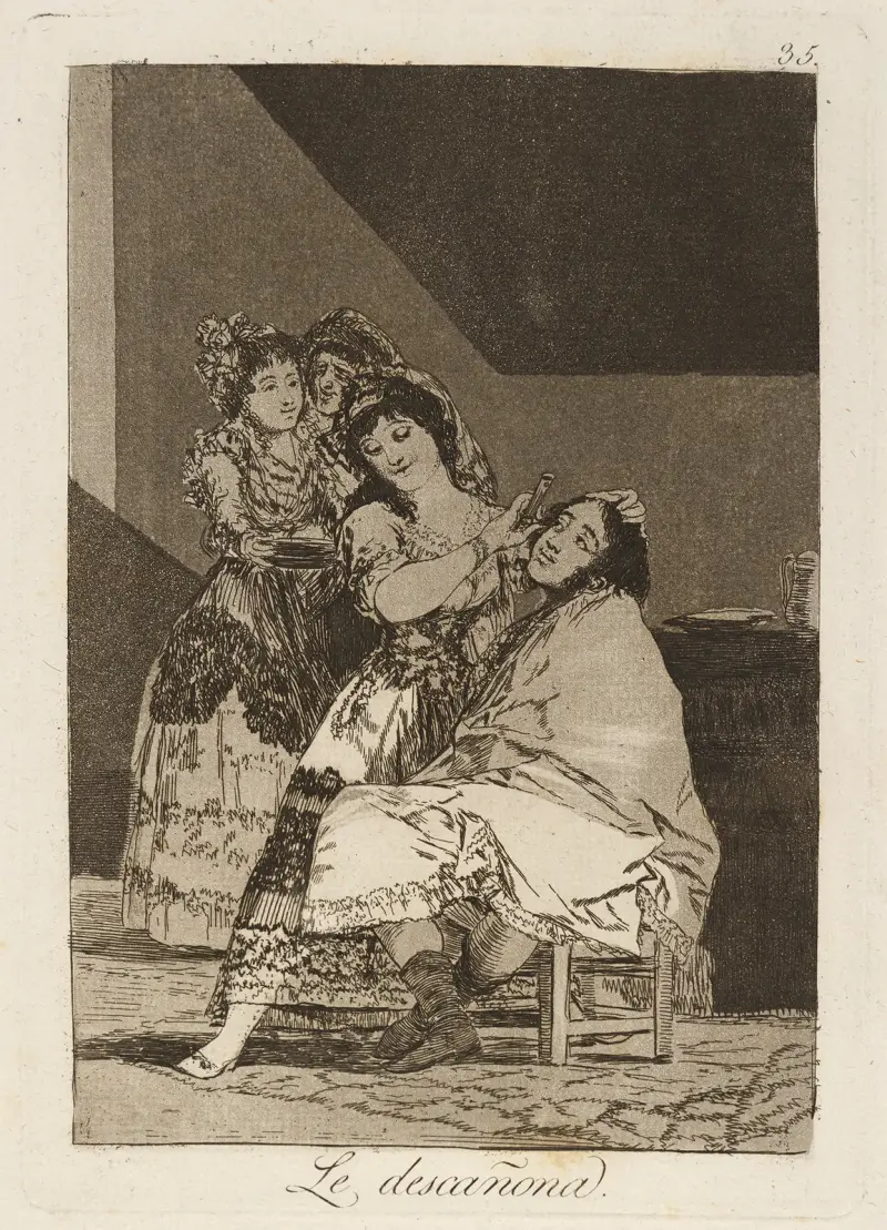 Sie rupft ihn von Francisco de Goya