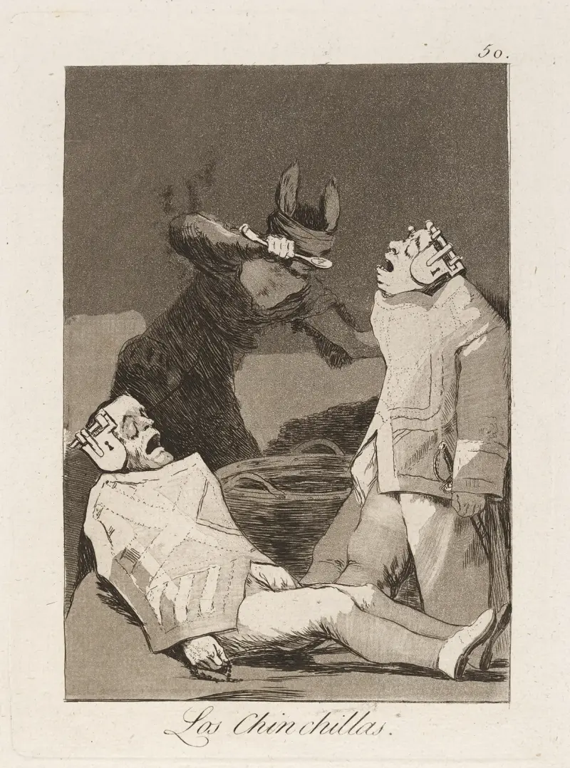 Die Chinchillas von Francisco de Goya