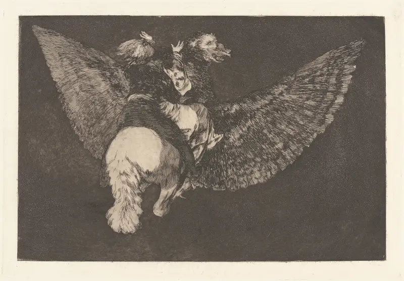 Verleugne den Freund, der dich mit seinem Schnabel bedeckt [Fliegende Narrheit] von Francisco de Goya