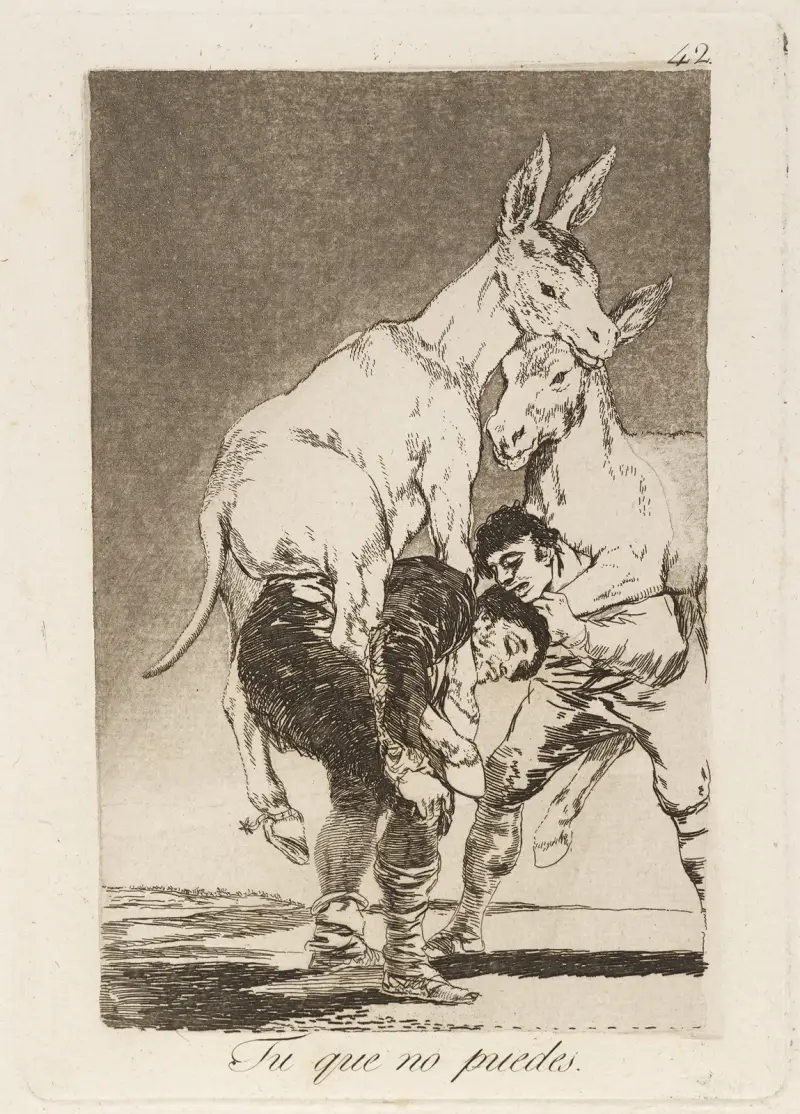 Ty, kdo nemůžeš, Francisco de Goya