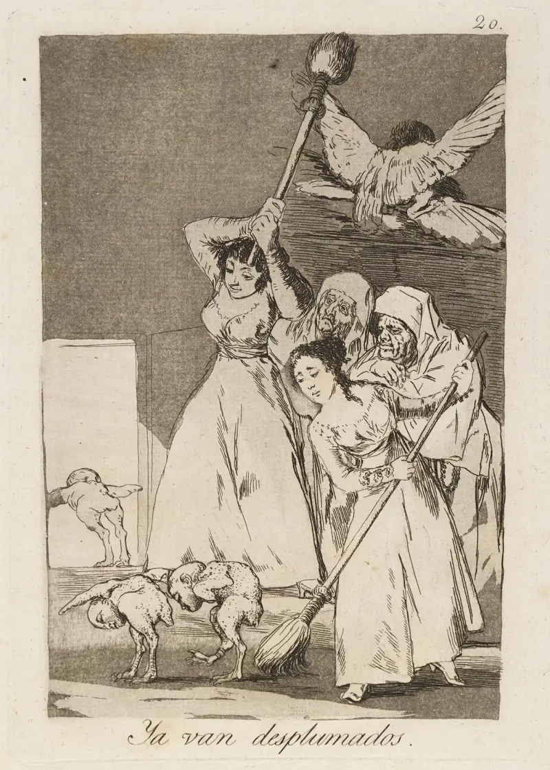 Ya van desplumados. (There they go plucked.) von Francisco de Goya