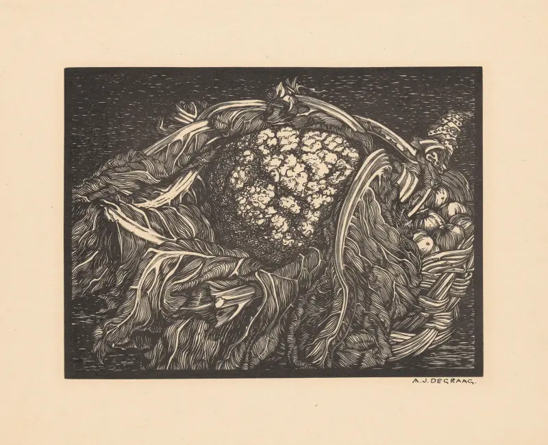 Cauliflower, Julie de Graag