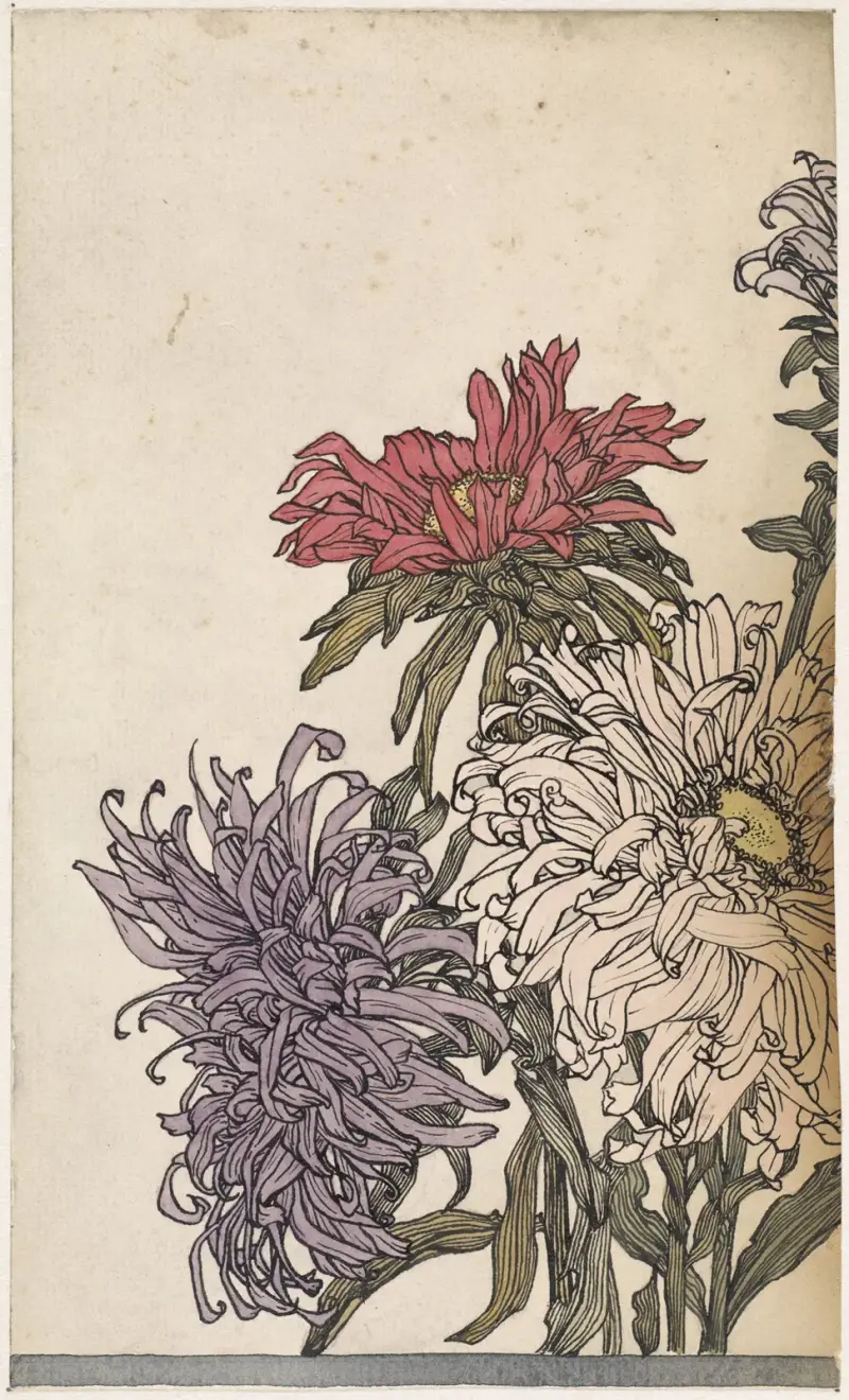 Chrysanten von Julie de Graag