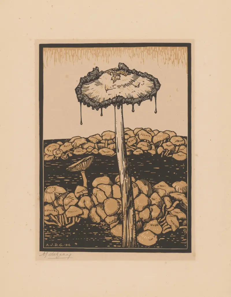 Dripping mushroom, Julie de Graag