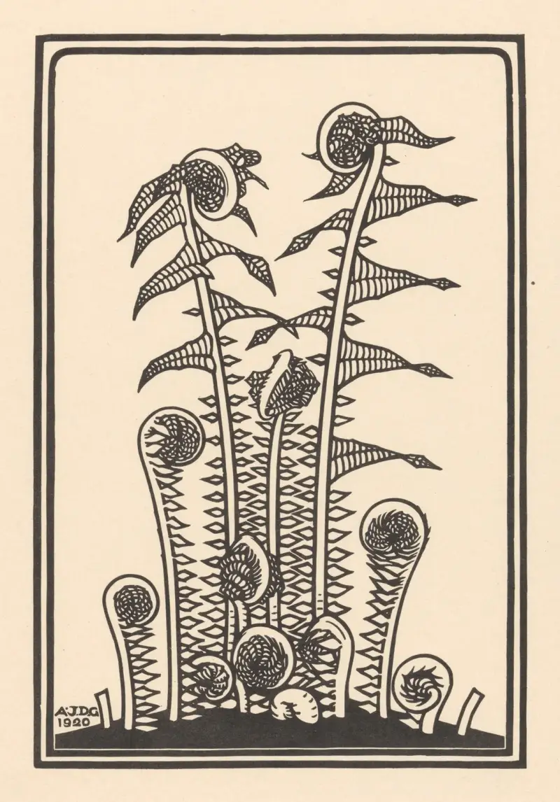 Ferns av Julie de Graag