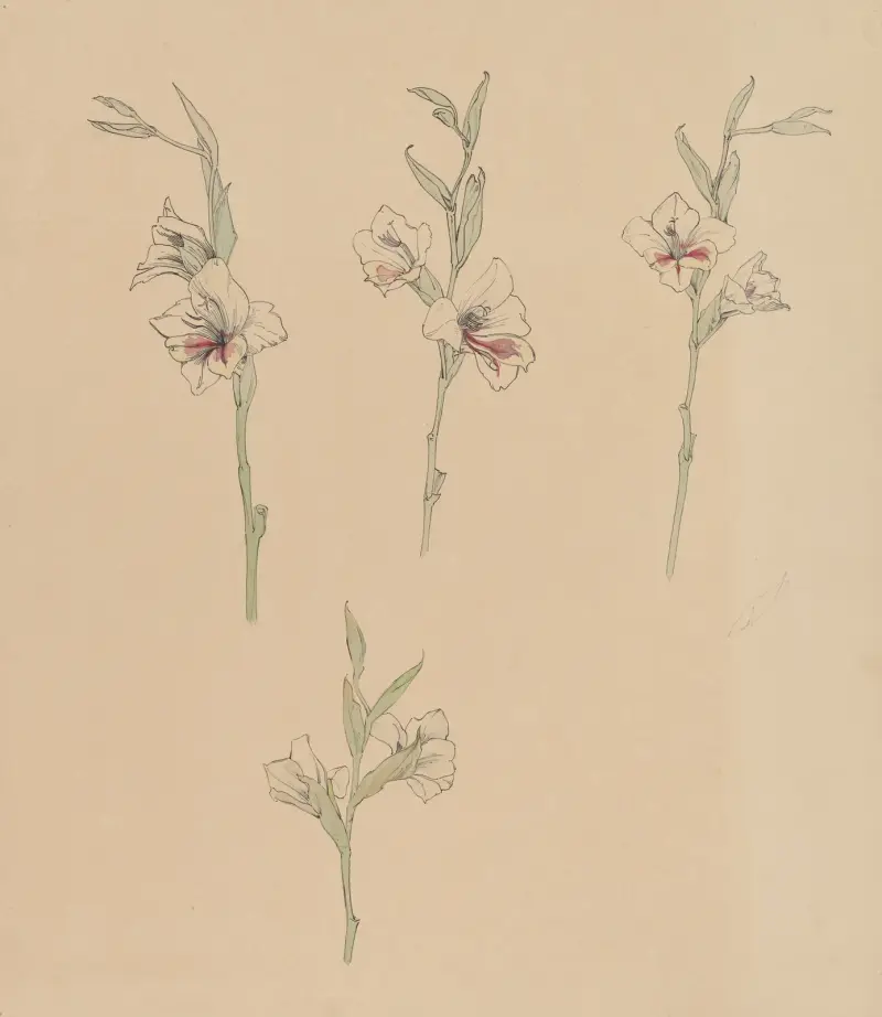 Blumenstudien von Julie de Graag