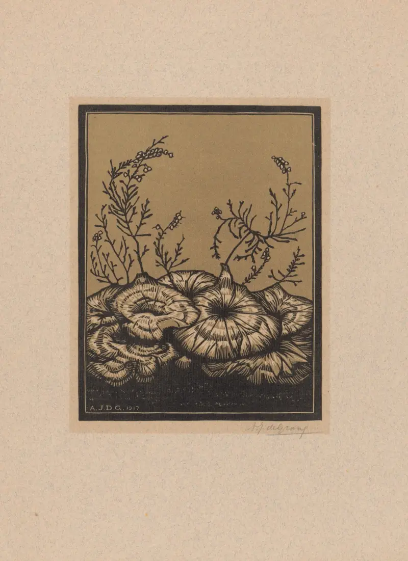 Flowering plants. von Julie de Graag