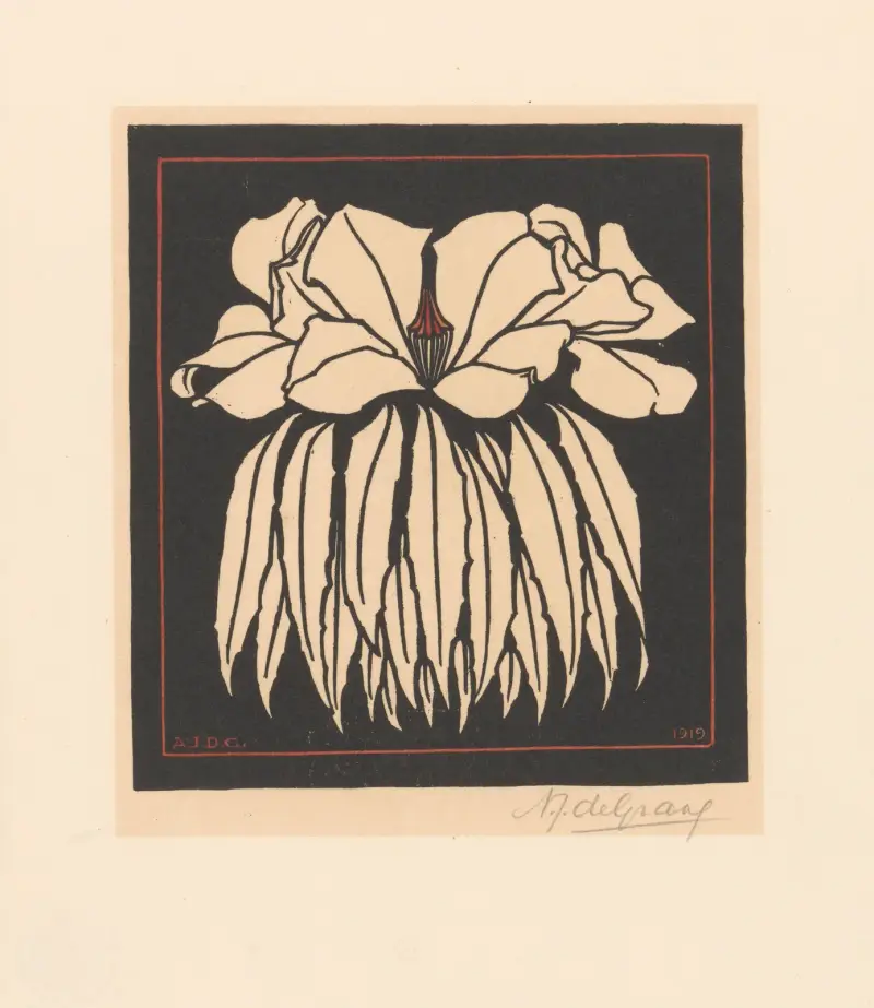 Godetia. von Julie de Graag