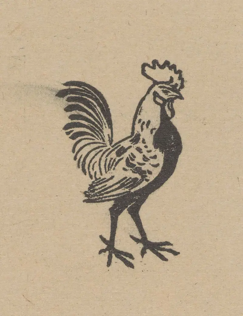 Haan von Julie de Graag