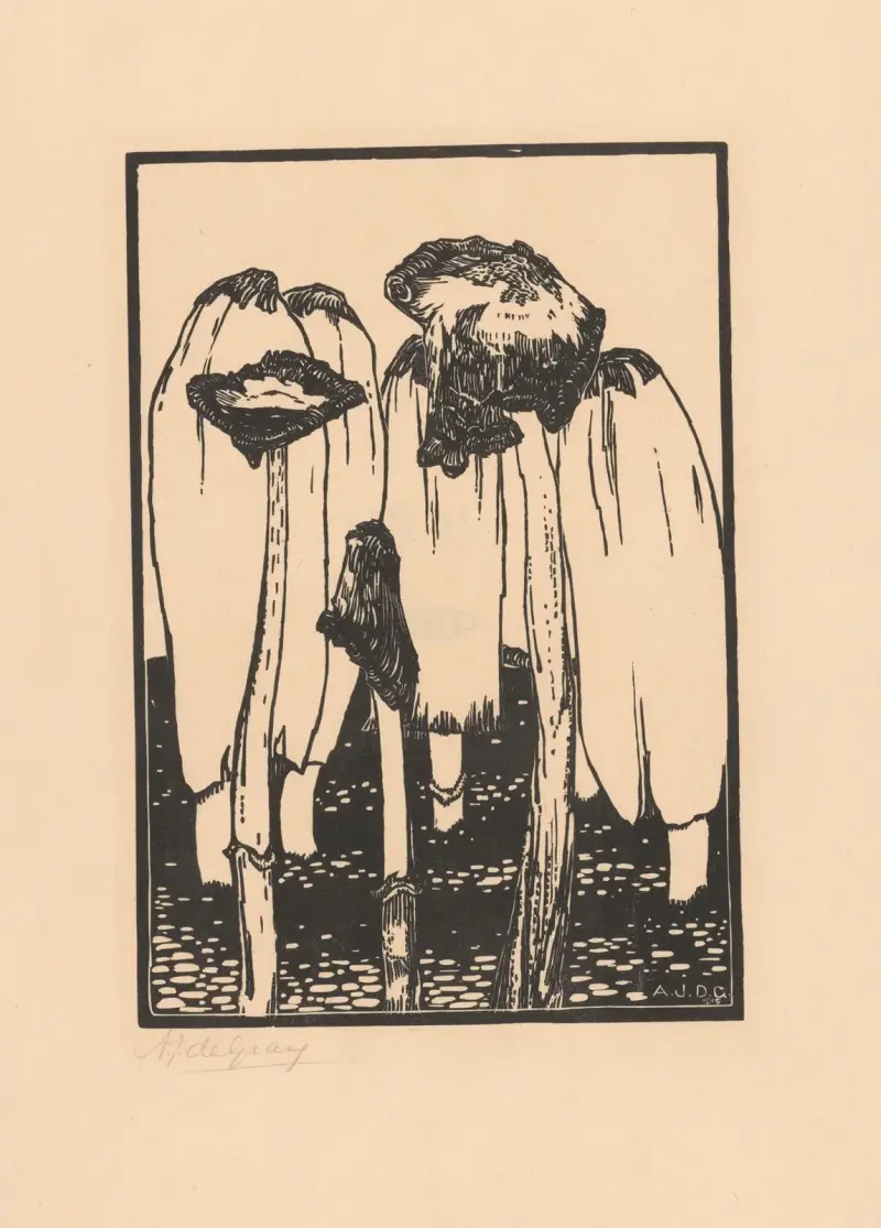 Inktzwammen von Julie de Graag