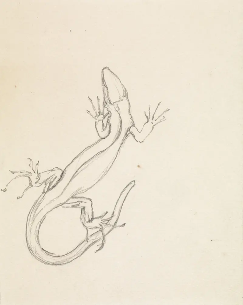 Lizard 2, Julie de Graag