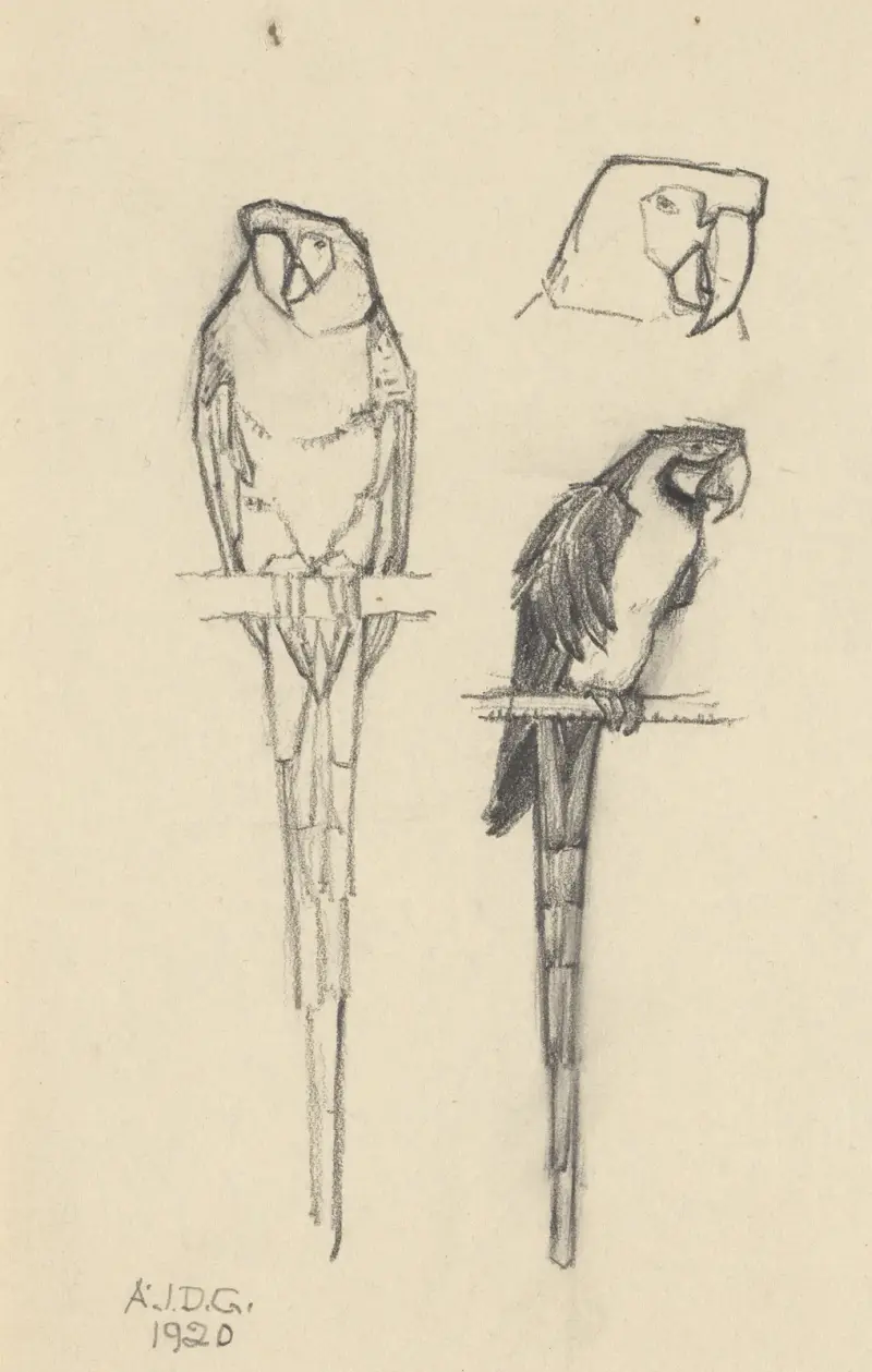 Parrots von Julie de Graag