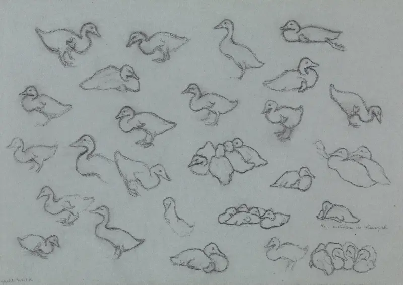 Study sheet with ducks. von Julie de Graag