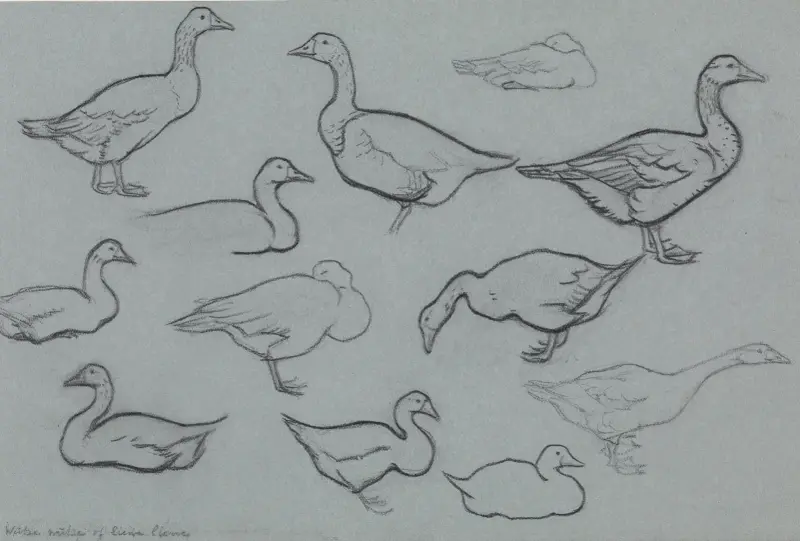 Study sheet with geese von Julie de Graag