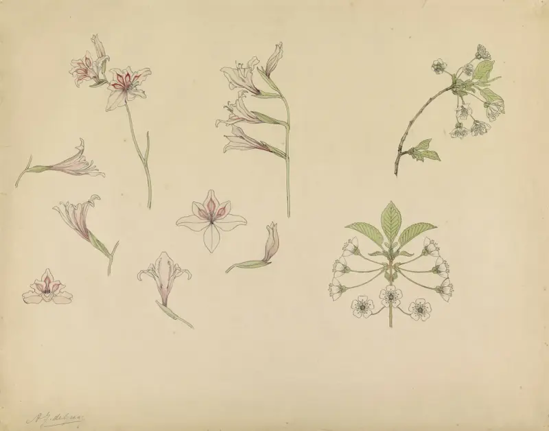 Studieblad med gladioler och äppelblom av Julie de Graag