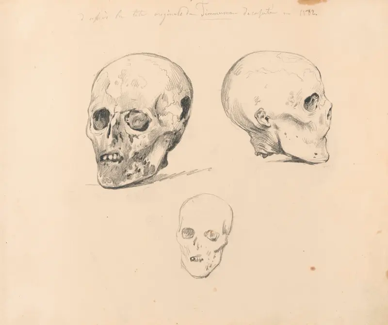 Tre studier av kraniet av Jacobean Antonio Timmerman från Dunkirk av Nicaise De Keyser
