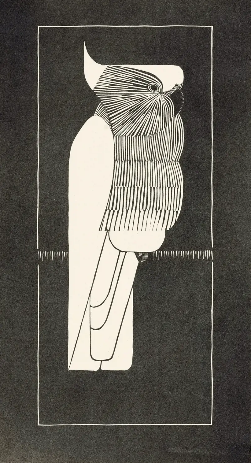 Kakadu, Samuel Jessurun de Mesquita