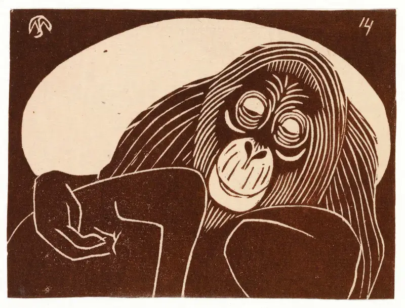 Orangutan, Samuel Jessurun de Mesquita