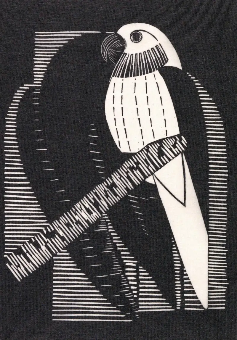 Papuga (papużka), Samuel Jessurun de Mesquita