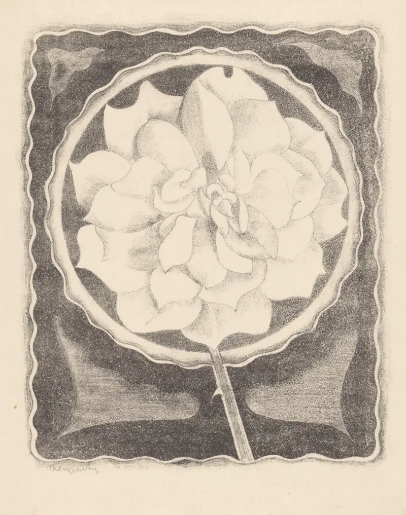 Růže (v kruhu, s vlnitým okrajem), Samuel Jessurun de Mesquita