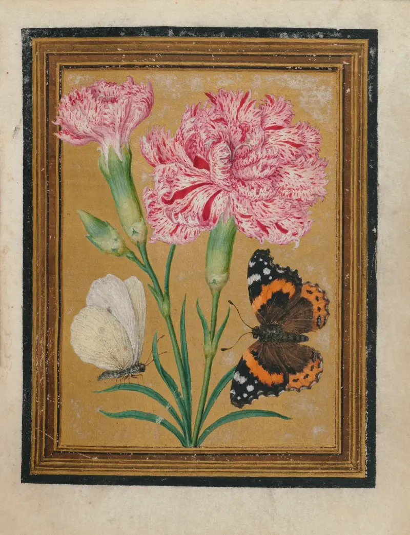 Paintings of Flowers, Butterflies, and Insects Pl.5 av Jacques Le Moyne de Morgues