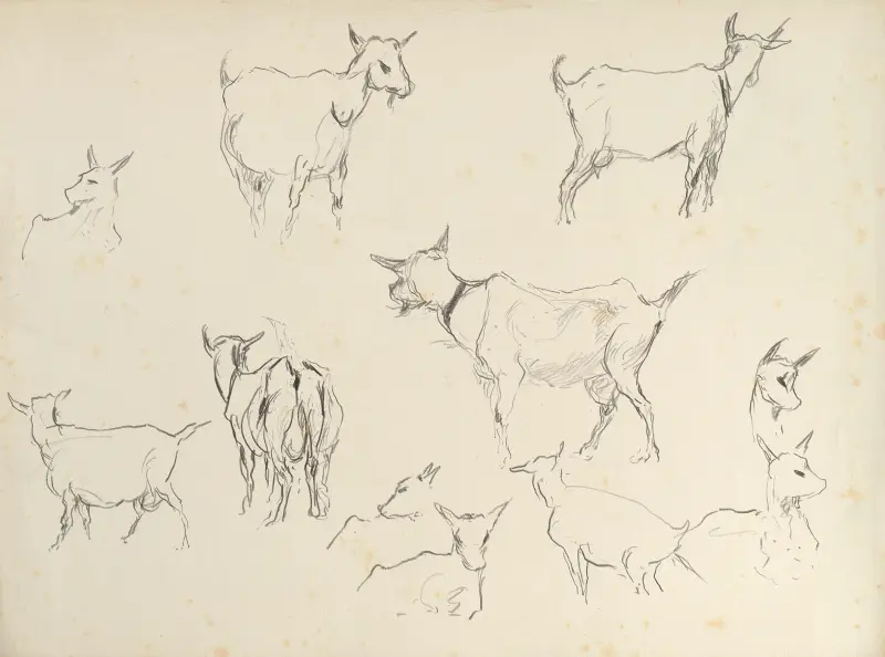 Kozy (studie), Rodolphe De Saegher