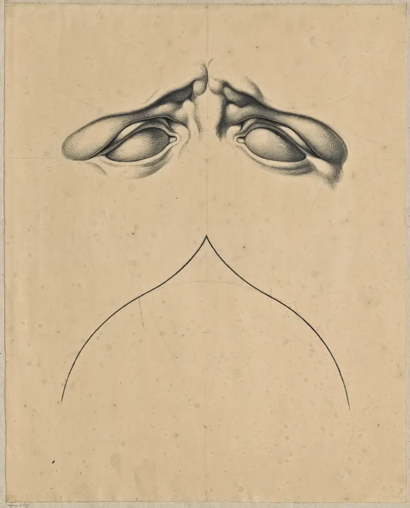 Analogy between frowning eyes (of Laocoon’s son) and a gothic arch av David Humbert de Superville